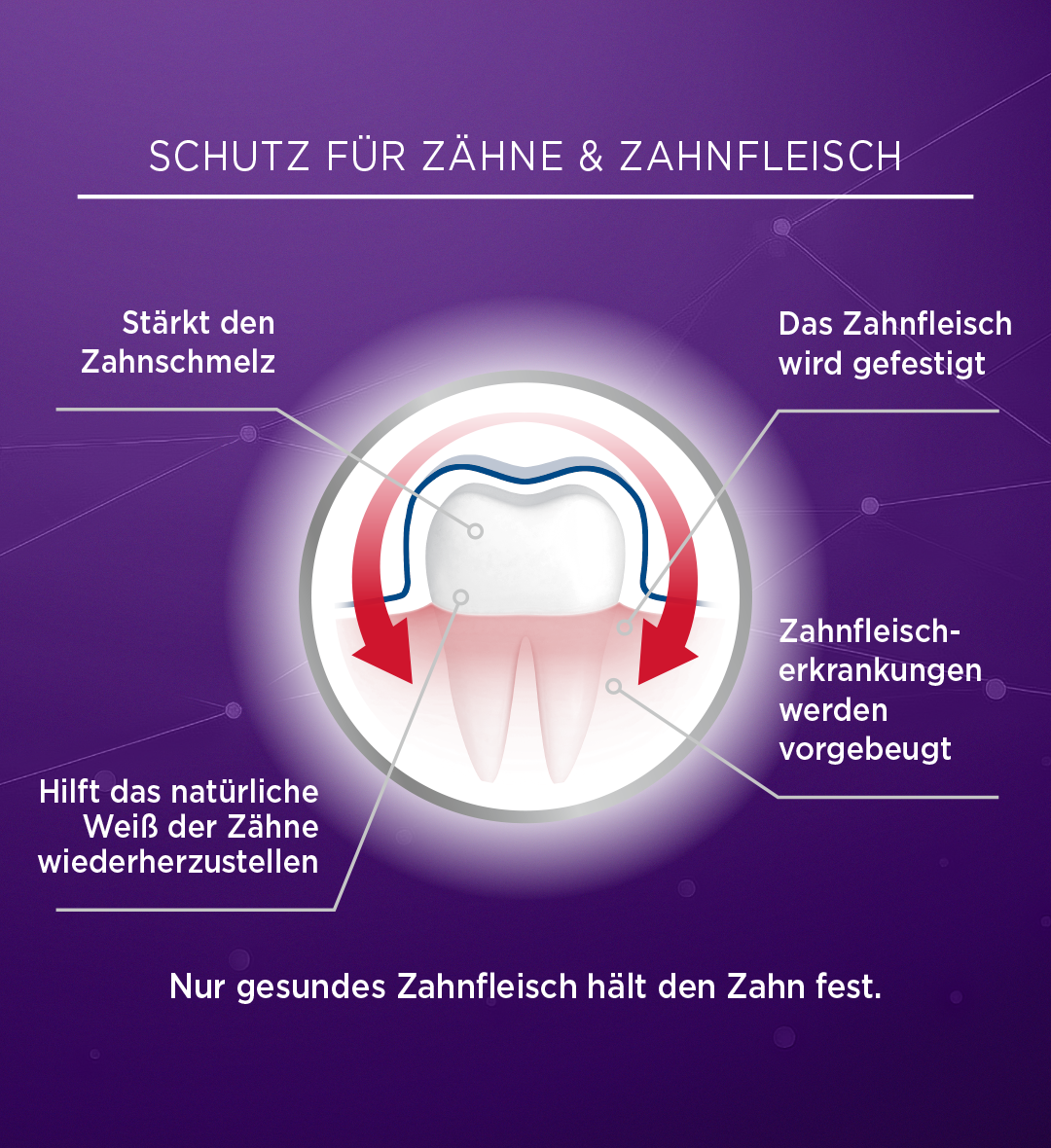LACALUT® aktiv Zahnfleisch­schutz & Gesunder Zahnschmelz Zahncreme
