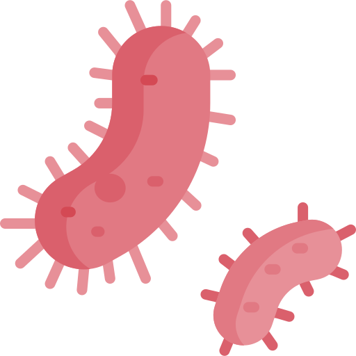 Lactobacillus-Bakterien